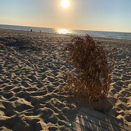 Grand Rez De Jardin-terrasse Avec Vue Sur La - 2 * Blonville-sur-Mer