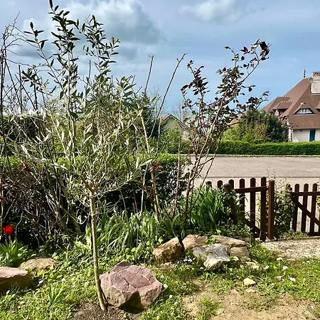 Grand Rez De Jardin-terrasse Avec Vue Sur La - 2