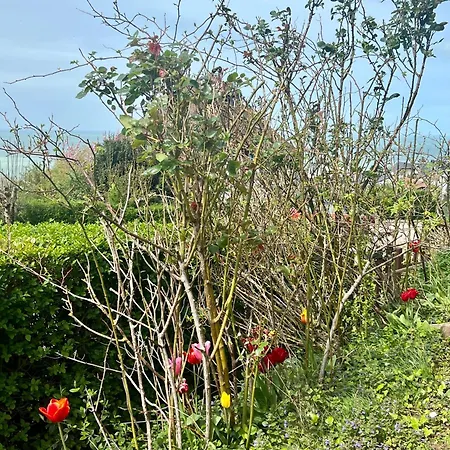 Grand Rez De Jardin-terrasse Avec Vue Sur La - 2 *