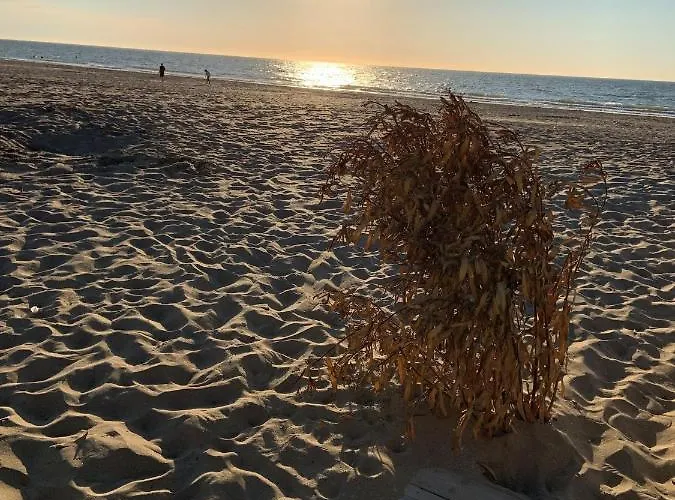 Grand Rez De Jardin-terrasse Avec Vue Sur La - 2 * Blonville-sur-Mer