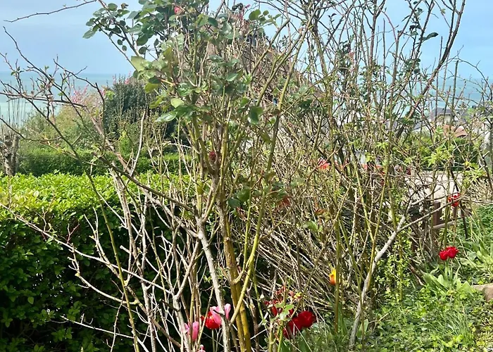 Grand Rez De Jardin-terrasse Avec Vue Sur La - 2 *